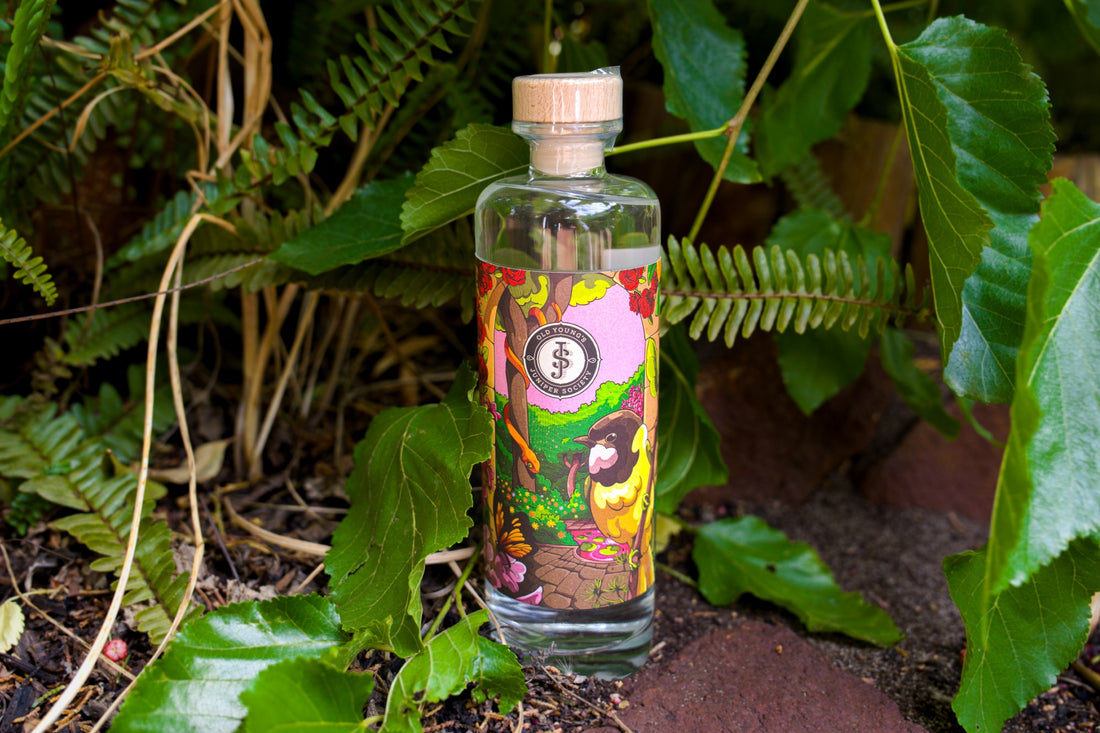 Edition No.20 - The Secret Garden