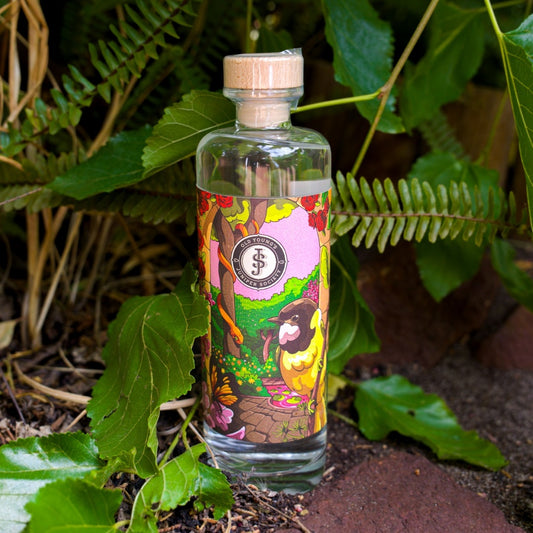 Edition No.20 - The Secret Garden