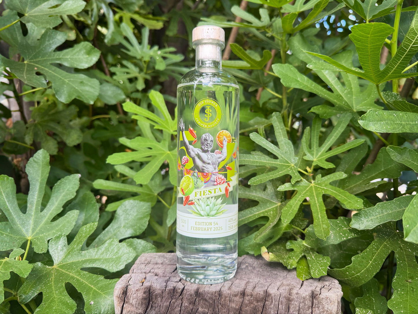 Edition No.54 - Fiesta