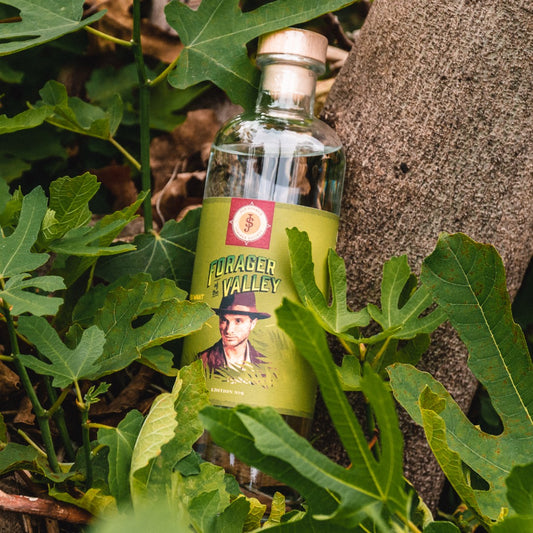 Edition No.9 - Forager of the Valley