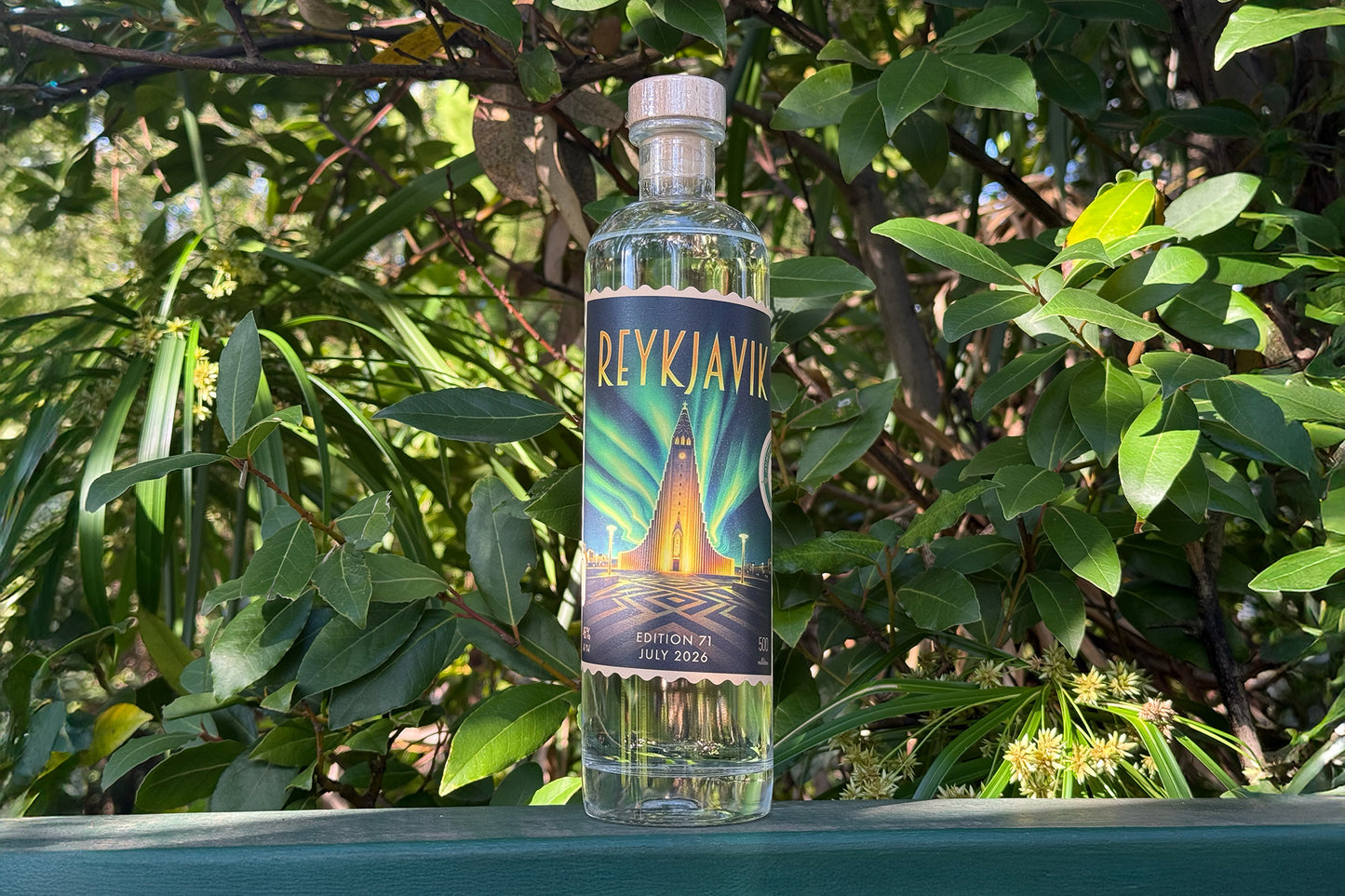 Edition 71 - Reykjavik